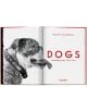 В отворената книга на лявата страница е показана черно-бяла снимка на куче от известния фотограф Уолтър Чандоха със заглавие "Уолтър Чандоха: Кучета - фотографии, 1941-1991 г." вдясно.-2-thumb