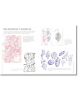 Drawing Basics and Beyond: Transform Observation into Imagination - Sorie Kim - Жена, Мъж, Момиче, Момче - Quarto Publishing PLC - 9780760385272-6-thumb