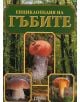 Енциклопедия на Гъбите - 735371 - 9789549935653-thumb