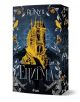 Корица на книга със златен готически замък на тъмен, богато украсен фон с гарвани, цветя и рунически символи. Името на RuNyx е в горната част, Енигма на кирилица под него, а логото на издателството е фино включено.-1-thumb