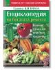 Енциклопедия на богатата реколта - Галина Кизима - Жена, Мъж - Паритет - 9786191534708-thumb