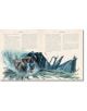 Eragon, Book One (Illustrated Editon) - Christopher Paolini, Кристофър Паолини - Жена, Мъж, Момиче, Момче - Penguin Books Ltd - 9780241681510-2-thumb