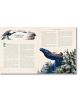 Eragon, Book One (Illustrated Editon) - Christopher Paolini, Кристофър Паолини - Жена, Мъж, Момиче, Момче - Penguin Books Ltd - 9780241681510-3-thumb