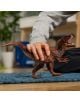 Фигурка Schleich: Алозавър - Schleich - Schleich - Момче - Schleich - Dinosaurs - 4059433848389-2-thumb