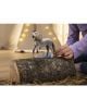 Фигурка Schleich: Андалуски жребец, петнист - Schleich - Schleich - Момиче, Момче - Schleich - Horse Club - 4059433770406-2-thumb