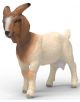 Фигурка Schleich: Бурска коза с кафява и бяла козина, малки рога, къса опашка и детайлно лице, изправена на четири крака върху бял фон.-1-thumb