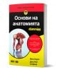 За глупаци: Основи на анатомията е българско издание с илюстрация на човешката мускулатура на корицата, жълто-червени акценти и автори Маги Норис и Дона Рей Зигфрид. Подходящо за изучаване на системите на тялото.-1-thumb