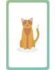 German for Everyone Junior First Words Flash Cards - DK - Момиче, Момче - DK Publishing - 9780241601419-3-thumb