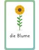 German for Everyone Junior First Words Flash Cards - DK - Момиче, Момче - DK Publishing - 9780241601419-4-thumb