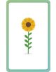 German for Everyone Junior First Words Flash Cards - DK - Момиче, Момче - DK Publishing - 9780241601419-5-thumb