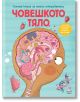 Голяма книга за малки откриватели: Човешкото тяло - Аня Деломберт - Момиче, Момче - Фют - 3800083836216-1-thumb