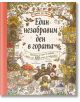 Гората на Мечо: Един незабравим ден в гората. Повече от 100 неща за откриване - Рейчъл Пиърси - Момиче, Момче - Фют - 3800083839798-2-thumb
