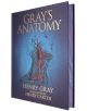 Анатомията на Грей (Arcturus Epic Classics) е със синя корица със златни надписи и подробна илюстрация на човешкото тяло в червено, черно и синьо.-2-thumb