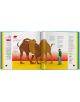 Crazy Competitions. 100 Weird and Wonderful Rituals from Around the World - Nigel Holmes - TASCHEN - 9783836539081-9-thumb