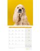 Календар Ackermann Dogs - Кучета  за 2021 г. - Ackermann - 9783838441290-4-thumb