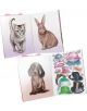 Две отворени страници на Книжка със стикери за обличане Top Model - Сладки животни показват реалистични рисунки на коте, заек и кученце, както и лист със стикери с шапки, панделки и аксесоари - идеални за любители на плюшени животни!.-2-thumb