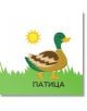 Илюстрация на патица върху трева под ярко жълто слънце, с "ПАТИЦА" на кирилица отдолу - идеална за ранно изучаване на езика и първи думи с Книжка за баня: Фермата.-2-thumb