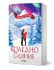 На корицата на Коледно сияние е изобразена двойка, която се прегръща сред заснежени планини и северни сияния над норвежки фиорди, което подчертава този романтичен роман.-1-thumb