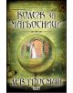 Колеж за магьосници - Лев Гросман - 9789546859341-thumb