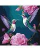 Два цветни колибри сред розови цветя и зелени листа на син фон, в стилизиран арт стил - идеален за Комплект за лесно рисуване с акрилни бои Ideyka - Колибри, 40 x 40 см.-1-thumb