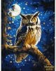 Комплект за лесно рисуване с акрилни бои Ideyka - Нощен бухал, 30x40 см: Създайте стилна картина на бухал с жълти очи върху платно, под лунна светлина и звезди, с метален блясък и контрастни цветове.-1-thumb
