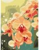 Комплект за лесно рисуване с акрилни бои Ideyka - Орхидея в капки (30x40 см): стилизирана картина на оранжево-прасковени орхидеи с червени сърцевини на абстрактен зеленожълт фон с ефект на дъждовни капки или слънчева светлина.-thumb