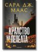 Стъкленият трон, книга 7: Кралство на пепелта, ново издание - Сара Дж. Маас - Момиче - Егмонт - 9789542732402-2-thumb