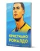 На илюстрираната корица на книгата е изобразен млад футболист в жълто, който гледа нагоре. Заглавието е "Кристиано Роналдо. От островно момче до футболна икона", се появява на кирилица на син фон - една вдъхновяваща история.-1-thumb