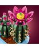 LEGO Botanicals Цъфтящ кактус - LEGO - LEGO - Момиче, Момче - 5702018031865-4-thumb