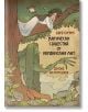 Корица на книгата "Магически същества от украинския мит. Духове на природата" е изобразена жена в бяла рокля на клон на дърво над зелен горски дух, вдъхновена от украинската митология и Дара Корний, с цветя и украински текст вдясно.-1-thumb