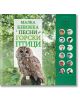 Малка книжка с песни на горски птици - Момиче, Момче - Изток-Запад - 9786190114833-thumb