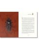 Metamorphosis (Arcturus Illustrated Classics) - Franz Kafka - Жена, Мъж - Arcturus Publishing Ltd - 9781398839106-2-thumb