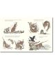 Moving The Millers' Minnie Moore - Dave Eggers - Walker Books - 9781529516302-3-thumb