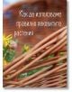Близък план на плетена кошница с жълти лечебни билки. Български текст: Как да използваме правилно лечебни растения, от книгата Моят първи курс в билколечението. Знания и рецепти за домашната аптечка.-5-thumb