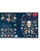Корица на книгата Музеят на анатомията с подробни илюстрации на анатомията на човека и животните - кости, органи, черепи и структури - на тъмносин фон.-8-thumb