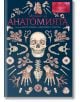 Корицата на "Музеят на анатомията" показва анатомични илюстрации - череп, кости, органи и части от тялото на човешкото тяло - подредени симетрично на тъмен фон, а българското заглавие е изписано с удебелен червен и бял текст.-2-thumb