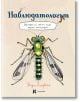 На корицата на книгата в центъра е изобразено голямо зелено-черно насекомо, подобно на водно конче. Заглавието на български език е Наблюдатологът. Наръчник за съвсем малки научни експедиции. Отгоре са разположени мехурче с реч и оранжево насекомо.-2-thumb