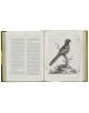 On the Origin of Species (Arcturus Gilded Classics) - Charles Darwin - Жена, Мъж - Arcturus Publishing Ltd - 9781398807501-2-thumb