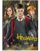Хари Потър, Хърмаяни Грейнджър и Рон Уизли стоят в униформи на Хогуортс пред магически фон с надпис "Хогуортс" в жълт графит в долната част на този пъзел Dodo Harry Potter: Хари Потър, 250 части - перфектен подарък за фенове!.-2-thumb