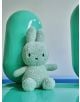 The плюшена играчка Miffy Terry - бледозелен заек, 23 см, стои изправено върху лъскава тюркоазена повърхност с големи заоблени тюркоазени форми на заден фон, което създава игриво и меко настроение.-4-thumb