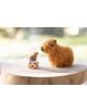 Плюшена играчка Nici - Капибара, 12 см. - Nici - Nici - Жена, Момиче - Nici - Happybara - 4012390615616-6-thumb