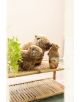 Плюшена играчка Nici - Капибара, 17 см. - Nici - Nici - Жена, Момиче - Nici - Happybara - 4012390612226-7-thumb