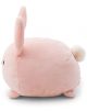 Плюшена играчка Nici - Зайче Pibu, 13 см. - Nici - Nici - 4012390631821-3-thumb