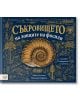 На корицата на "Съкровището на ловците на фосили" е изобразена голяма златиста черупка на фосили, разположена на тъмен фон с околни илюстрации на фосили и праисторически растения, символизиращи еволюцията на живота.-thumb