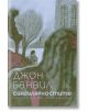 Приглушена розова и сива корица на книга с абстрактни изображения на дървета, сграда и човек на пейка. Заглавието е "Сингулярностите", българското издание на романа на Джон Банвил.-2-thumb