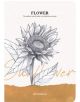 Скицник Drasca Flower Sunflower А5, 80 листа - Drasca - Drasca - Момиче, Момче - Drasca - Flower - 5060816700360-1-thumb