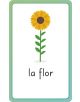 Spanish for Everyone Junior First Words Flash Card - DK - Момиче, Момче - DK Publishing - 9780241601433-3-thumb