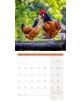 Стенен календар Ackermann Country Life 2026 – Селски живот - Ackermann - Ackermann - Жена, Мъж - Ackermann - Art12 - 9783838446165-4-thumb