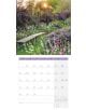Стенен календар Ackermann Gardens 2026 – Градини - Ackermann - Ackermann - Жена - Ackermann - Art12 - 9783838446301-10-thumb