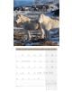 Стенен календар Ackermann Horses 2026 – Коне - Ackermann - Ackermann - Жена, Мъж - Ackermann - Art12 - 9783838446219-13-thumb
